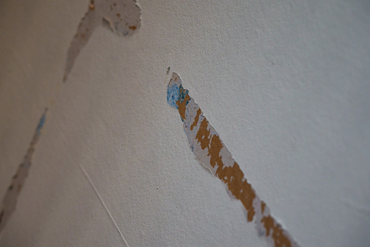 Basement Water Removal service in San Luis Obispo, CA